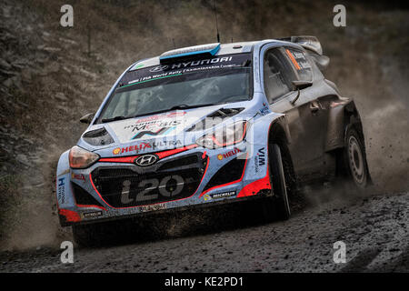 Kevin Abbring at the WRC World Rally Championship, Wales Rally GB, Wales, UK Stock Photo