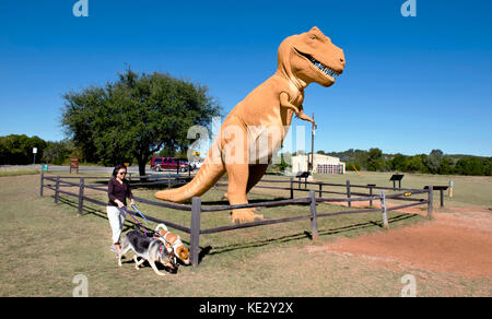 Glen Rose,Texas - Oct.16-2017  Dinosaur Valley State Park in Glen Rose,TX having Dino tracks over 100 million years old. Stock Photo