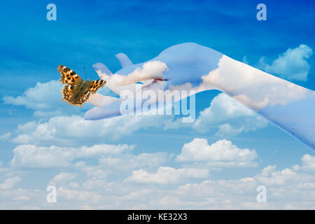 Womans hands letting the butterfly be free to go Stock Photo