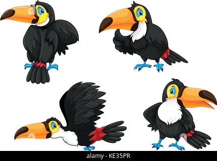 Four toucans in different poses illustration Stock Vector