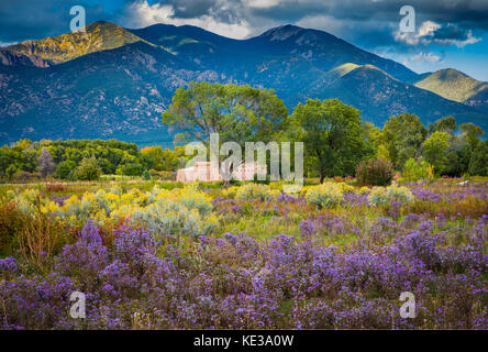 Wildflowers and Pueblo Peak in Taos, New Mexico Stock Photo