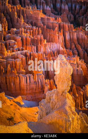 Bryce Canyon National Park, a sprawling reserve in southern Utah, is known for crimson-colored hoodoos, which are spire-shaped rock formations. The pa Stock Photo