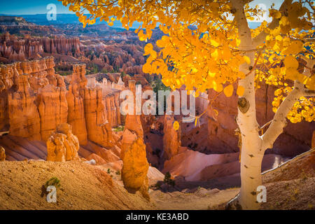 Bryce Canyon National Park, a sprawling reserve in southern Utah, is known for crimson-colored hoodoos, which are spire-shaped rock formations. The pa Stock Photo