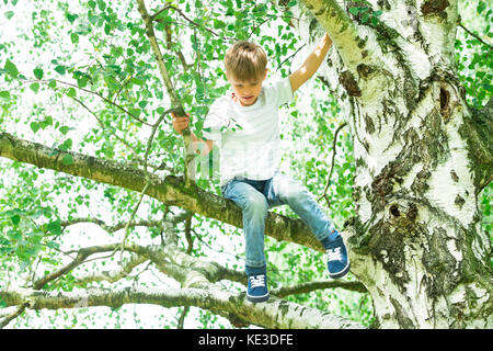 Cute Little Boy Sitting On The Branch Of A Tree Stock Photo