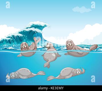 Seals swimming in the ocean illustration Stock Vector