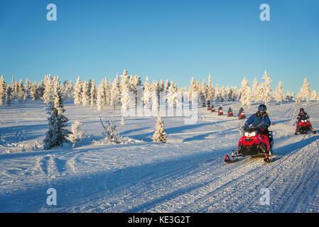 Group of snowmobiles in Lapland, near Saariselka, Finland Stock Photo