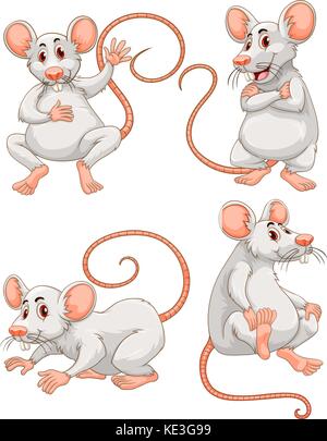 Mouse in four different actions illustration Stock Vector