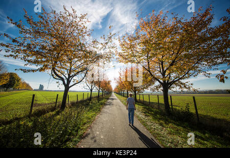 Stuttgart, Germany. 18th Oct, 2017. A woman walking in the sun through an autumnal colours of an alley in Stuttgart, Germany, 18 October 2017. Credit: Christoph Schmidt/dpa/Alamy Live News Stock Photo