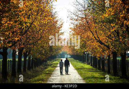 Stuttgart, Germany. 18th Oct, 2017. An elderly couple walking in the sun through an autumnal colours of an alley in Stuttgart, Germany, 18 October 2017. Credit: Christoph Schmidt/dpa/Alamy Live News Stock Photo