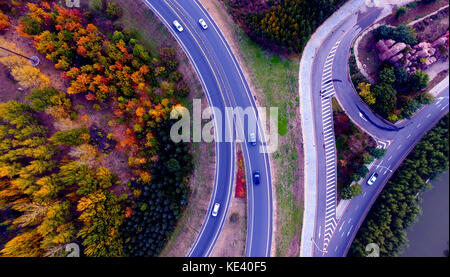 Shenyang, Shenyang, China. 19th Oct, 2017. Shenyang, CHINA- 18th October 2017:(EDITORIAL USE ONLY. CHINA OUT) .Autumn scenery of the Shenyang-Dandong Express Road in Shenyang, northeast China's Liaoning Province. Credit: SIPA Asia/ZUMA Wire/Alamy Live News Stock Photo