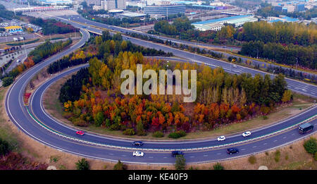 Shenyang, Shenyang, China. 19th Oct, 2017. Shenyang, CHINA- 18th October 2017:(EDITORIAL USE ONLY. CHINA OUT) .Autumn scenery of the Shenyang-Dandong Express Road in Shenyang, northeast China's Liaoning Province. Credit: SIPA Asia/ZUMA Wire/Alamy Live News Stock Photo