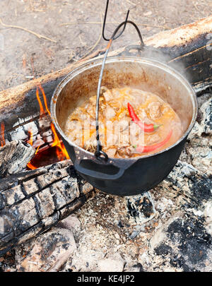 Cooking Goulash soup in cauldron on burning campfire Stock Photo