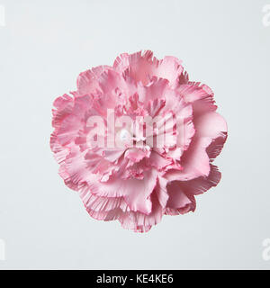 One pink carnation flower, paper artwork Stock Photo