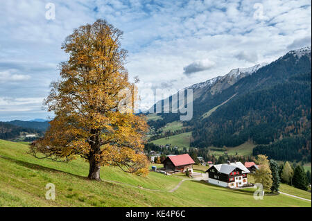 View of Kleinwalsertal (Little Walser Valley)/Voralberg from Hoehenweg near Hirschegg, Austria. Stock Photo