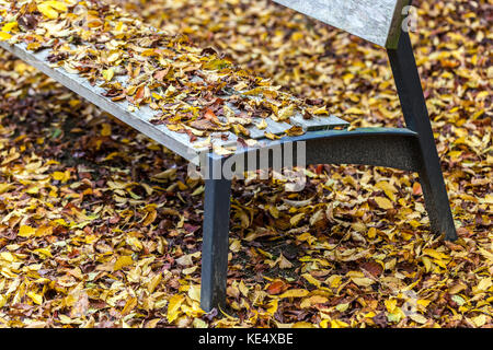Autumn garden bench leaves on the ground falling, bench park empty Stock Photo