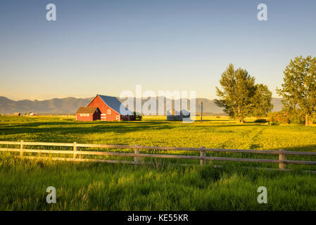 Summer sunset with a red barn in rural Montana and Rocky Mountains Stock Photo