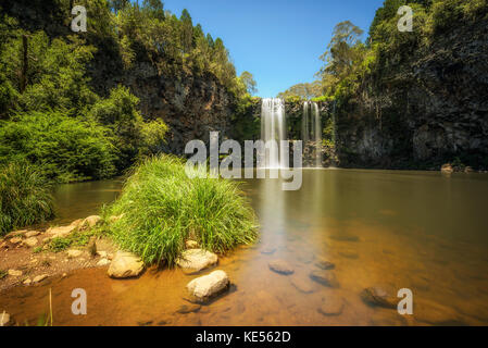 Dangar Falls in the Rainforest of Dorrigo National Park, Australia
