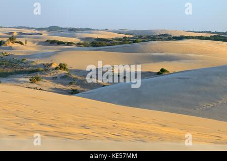 Sand dunes of Lomas de Arena Regional Park, Santa Cruz, Bolivia Stock ...