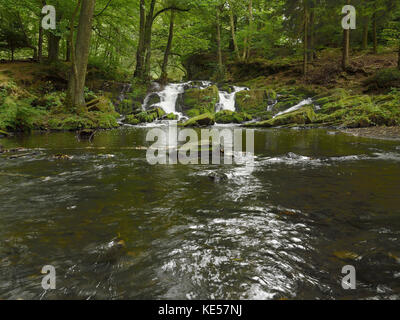 Mountain stream Selke, Harz, near Harzgerode, Saxony-Anhalt, Germany Stock Photo