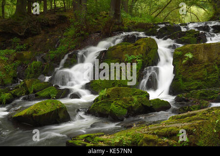 Waterfall, mountain stream Selke, near Harzgerode, Saxony-Anhalt, Germany Stock Photo