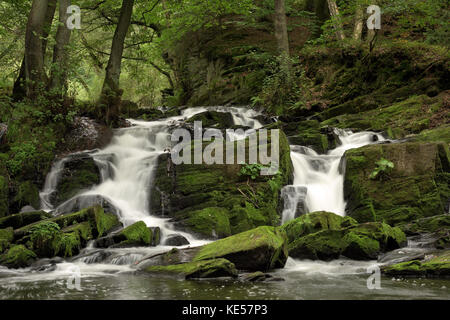 Waterfall, mountain stream Selke, near Harzgerode, Saxony-Anhalt, Germany Stock Photo