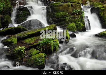 Waterfall, mountain stream Selke, near Harzgerode, Saxony-Anhalt, Germany Stock Photo