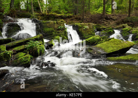 Waterfall, mountain stream Selke, near Harzgerode, Saxony-Anhalt, Germany Stock Photo