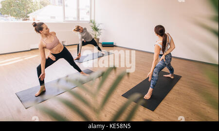 Three people practising yoga in class. Group of people standing on yoga mat stretching and twisting their body. Stock Photo