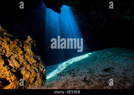 Light filters through Jug Hole, Ichetucknee Springs State Park in Florida. Stock Photo