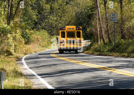 American school bus drives through forest area, Pennsylvania, United states. Stock Photo