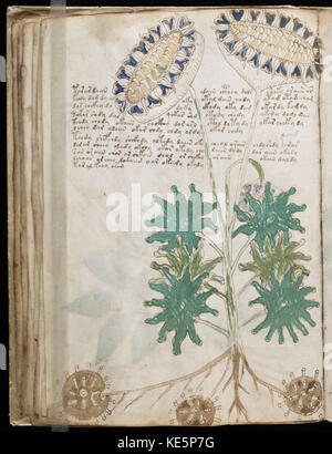 Undecipherable Writing The Voynich Manuscript is an enigmatic and mysterious manuscript ...