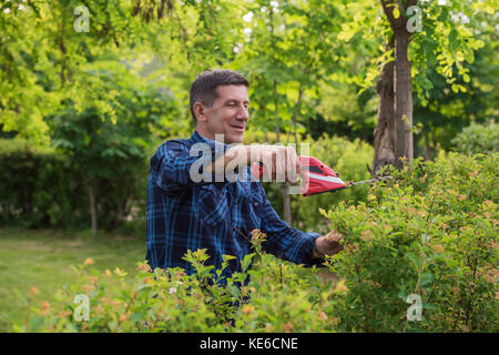 Retired but still healthy looking and smiling man is cutting and trimming the green hedge in the garden with the trimmer. Unfocused garden background. Stock Photo