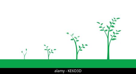 Vector illustration of a set of green icons - plant or tree growth phase, isolated on white background Stock Vector