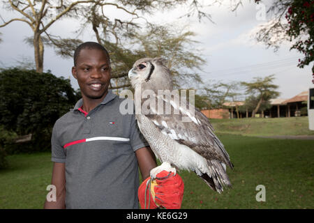 African man with Verreaux's Eagle owl Bubo lacteus sitting on arm Owl Trust Naivsaha Kenya Stock Photo
