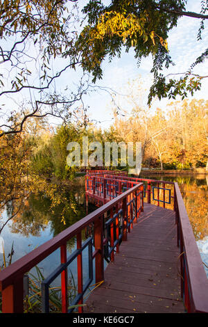 A red and blue zig-zag bridge crossing a calm pond to a gazebo in a park like setting in fall. Stock Photo