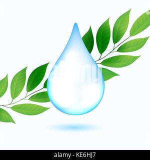 Drop of water with green leaves Stock Vector