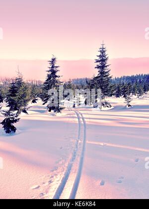 Two ways for cross country skiing in winter mountains. Wintry landscape with cross country skiing ways between trees. Stock Photo