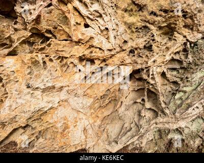 Sandstone texture detail,  nature errosion. Closeup rock erosion holes sea wall. Texture background. Stock Photo