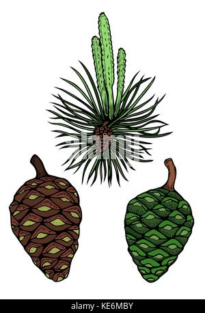 Pine branch with cone hand drawn vector pattern illustration Wrapping, surface decoration Stock Vector