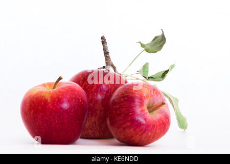 Three fresh natural organic Red Heirloom Delicious closeup of organic apples with stem and leaves on white background, a perfect healthy snack Stock Photo