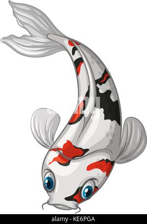 Illustration of a close up koi Stock Vector