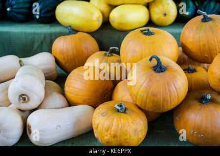 A variety of winter squashes on display at at the Davis farmers market in California, USA