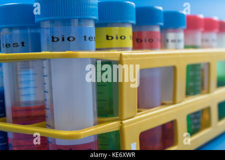 Plastic centrifuge test tubes for biological sample Stock Photo