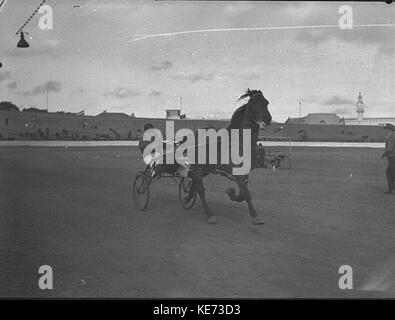 29630 Sports meeting at Sportsground Stock Photo