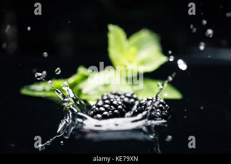 ripe blackberries falling in water Stock Photo