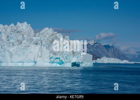 Greenland, Scoresbysund aka Scoresby Sund, Nordvestfjord. Huge icebergs floating in calm fjord. Stock Photo