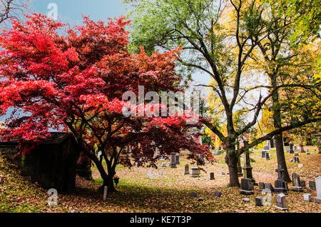 Autumn Foliage and Grave Stones in Green-Wood Cemetery in Brooklyn, New York Stock Photo