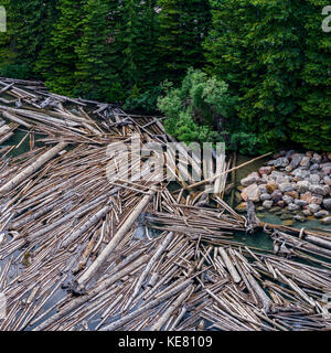 An abundance of logs floating in the water along the shore of Moraine Lake in Banff National Park; Lake Louise, Alberta, Canada Stock Photo