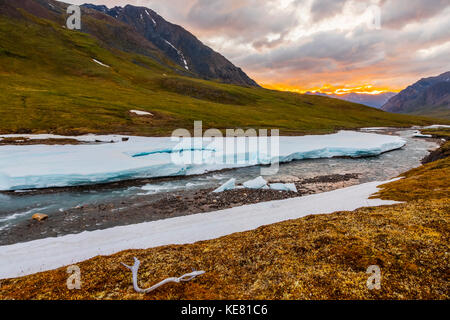A caribou antler rests next to an unnamed fork of the Atigun River still partially covered by aufeis (sheet-like ice) under the midnight sun. in th... Stock Photo