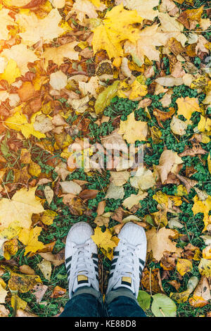 mans legs in white sneakers and blue jeans standing on ground with autumn leaves, top view. Stock Photo